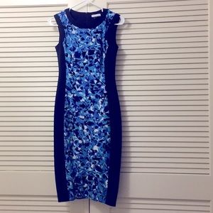 Fitted Floral Sleeveless Dress